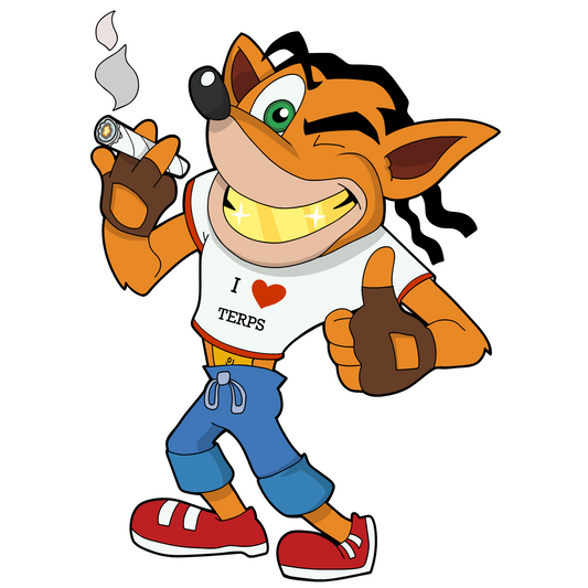 Terps Bandicoot